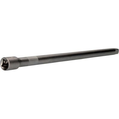 BT021909 - EXTENSION LONG 3/8" 250 mm
